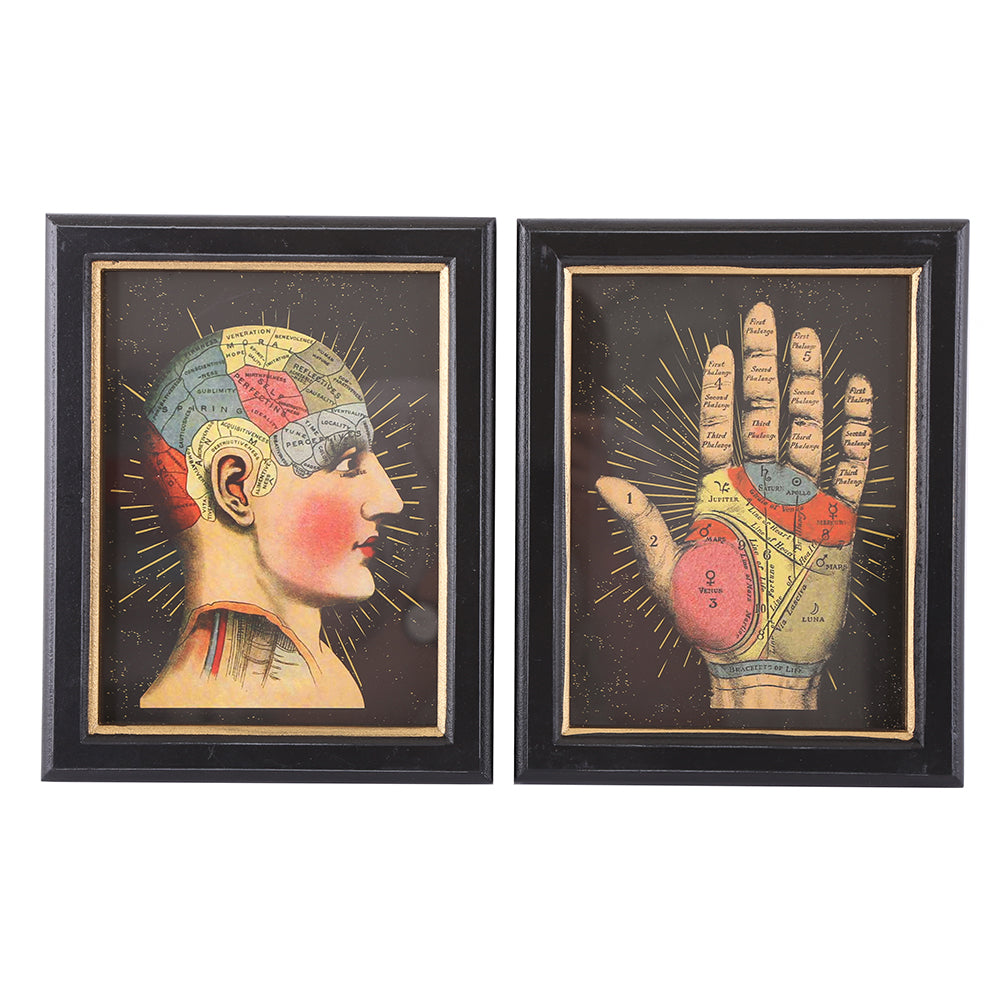 Palmistry and Phrenology Framed Print